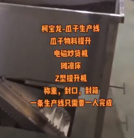 不吐盐电磁炒货机瓜子生产线