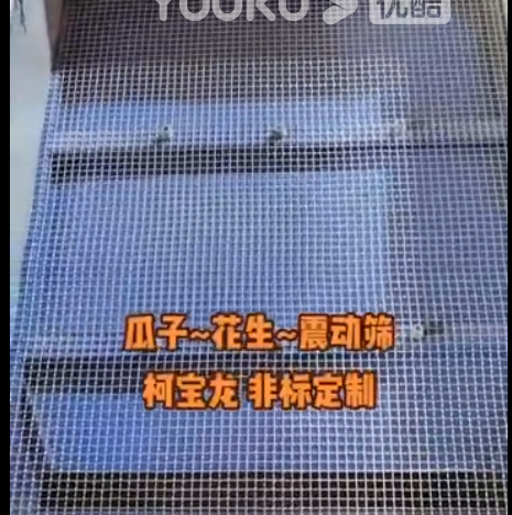 瓜子、花生、振动筛，柯宝龙 — 非标定制