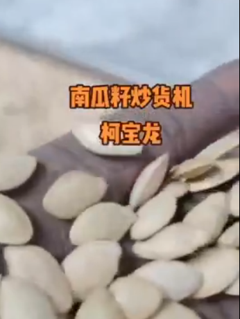 南瓜子炒货机