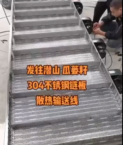 瓜蒌子304不锈钢链板散热输送线