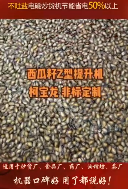 西瓜籽Z型提升机，非标定制