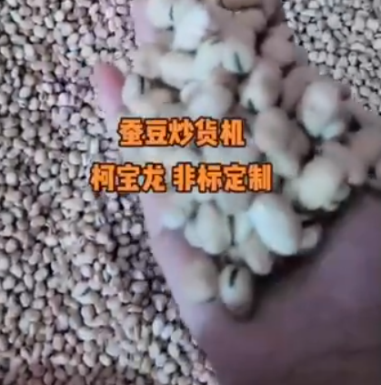 蚕豆炒货机，非标定制