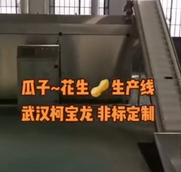 瓜子、花生生产线，武汉柯宝龙，非标定制