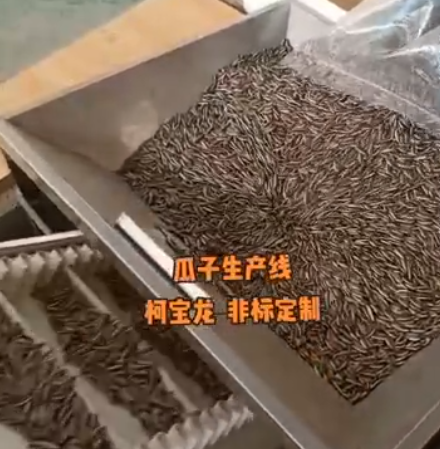 瓜子生产线，源头厂家非标定制