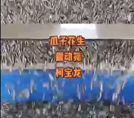 瓜子花生振动筛，非标定制