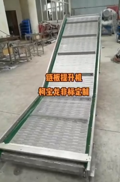 非标定制链板提升机